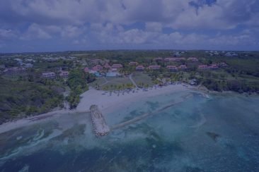 <span class="highlight"><noscript><img width="366" height="244" class=